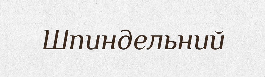 Шпиндельний — Великий тлумачний словник сучасної української мови