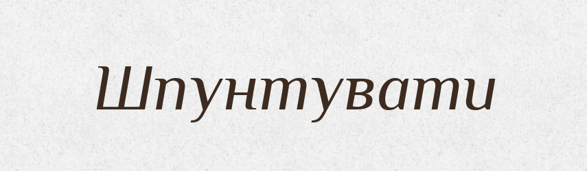 Шпунтувати — Великий тлумачний словник сучасної української мови