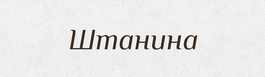 Штанина — Великий тлумачний словник сучасної української мови