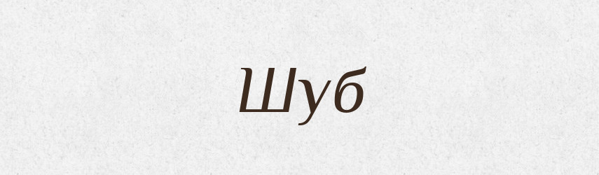 Шуб — Великий тлумачний словник сучасної української мови