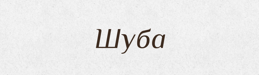 Шуба — Великий тлумачний словник сучасної української мови