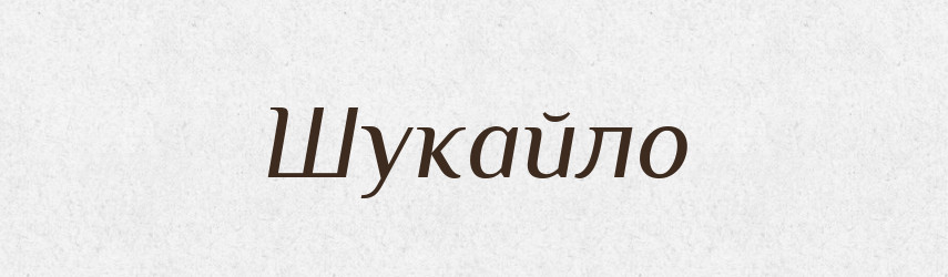 Шукайло — Великий тлумачний словник сучасної української мови