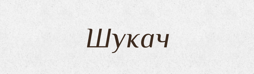 Шукач — Великий тлумачний словник сучасної української мови