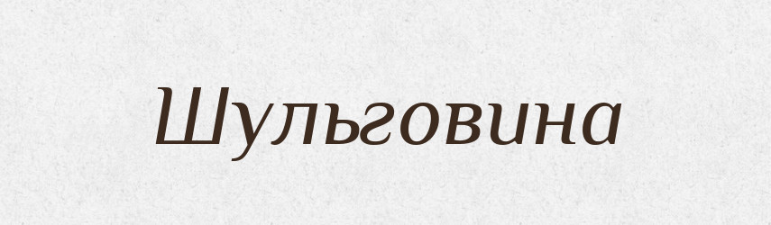 Шульговина — Великий тлумачний словник сучасної української мови
