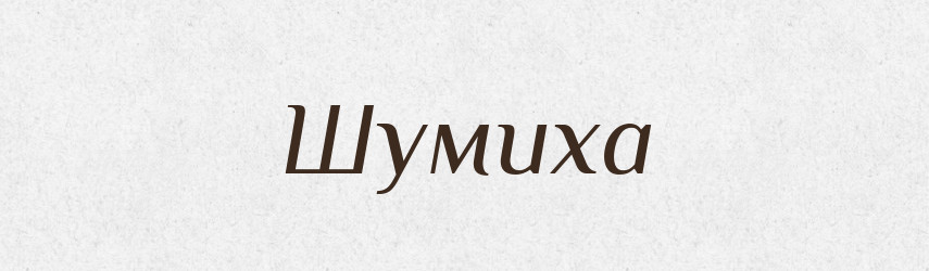 Шумиха — Великий тлумачний словник сучасної української мови