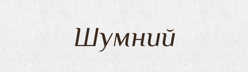 Шумний — Великий тлумачний словник сучасної української мови