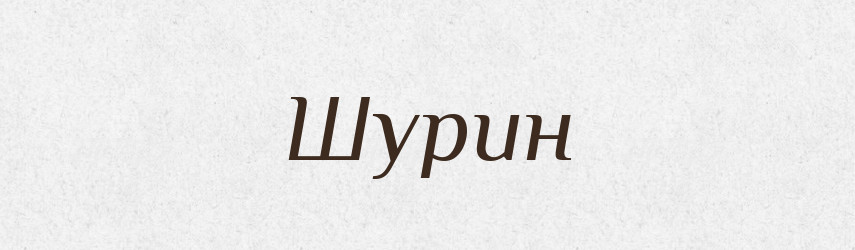Шурин — Великий тлумачний словник сучасної української мови