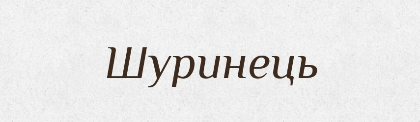 Шуринець — Великий тлумачний словник сучасної української мови