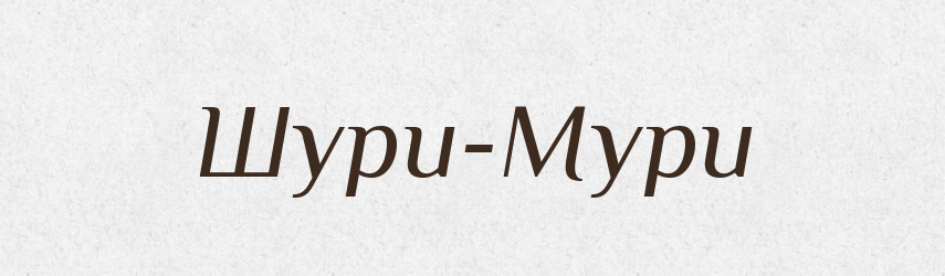 Шури-Мури — Великий тлумачний словник сучасної української мови