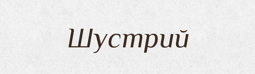 Шустрий — Великий тлумачний словник сучасної української мови