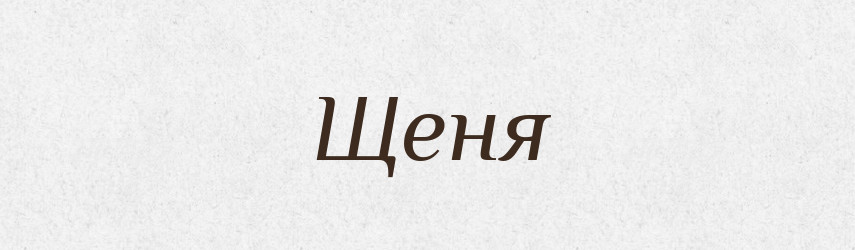 Щеня — Великий тлумачний словник сучасної української мови