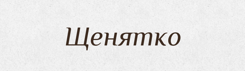 Щенятко — Великий тлумачний словник сучасної української мови