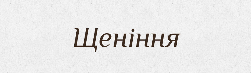 Щеніння — Великий тлумачний словник сучасної української мови