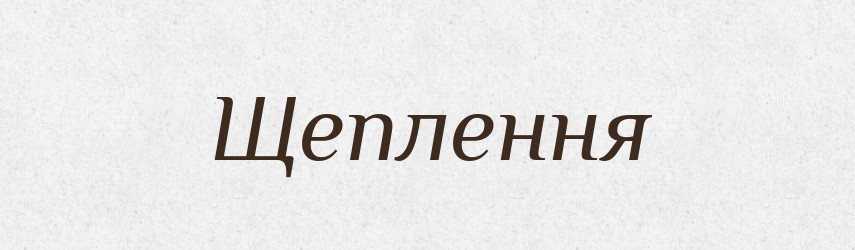 Щеплення — Великий тлумачний словник сучасної української мови