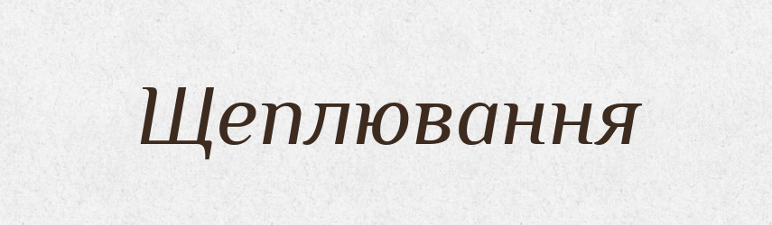 Щеплювання — Великий тлумачний словник сучасної української мови