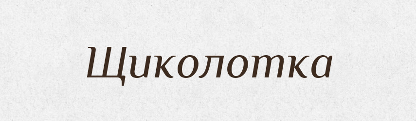 Щиколотка — Великий тлумачний словник сучасної української мови