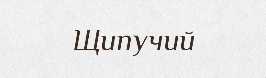 Щипучий — Великий тлумачний словник сучасної української мови