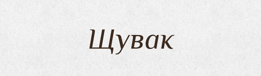 Щувак — Великий тлумачний словник сучасної української мови