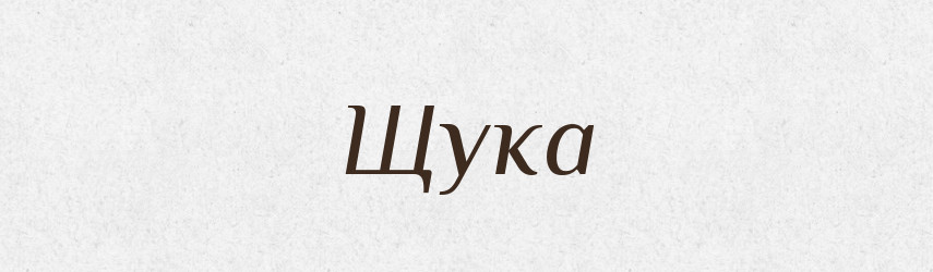 Щука — Великий тлумачний словник сучасної української мови
