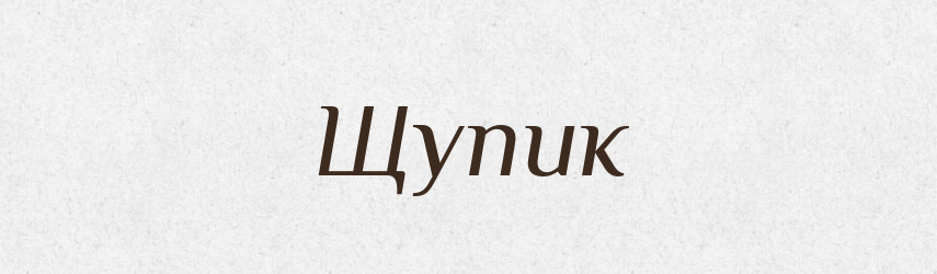 Щупик — Великий тлумачний словник сучасної української мови