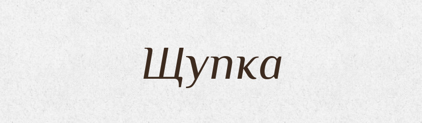 Щупка — Великий тлумачний словник сучасної української мови