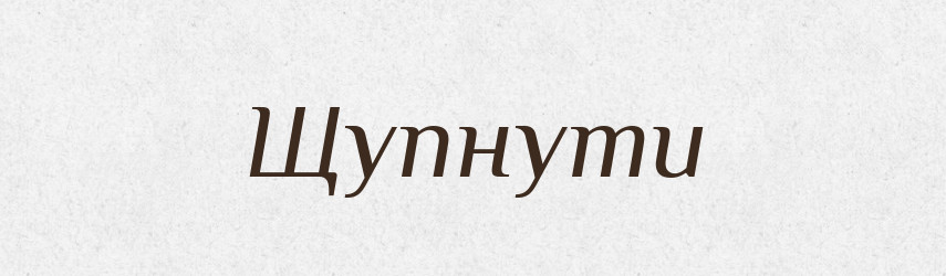 Щупнути — Великий тлумачний словник сучасної української мови