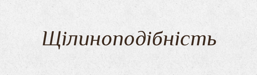 Щілиноподібність — Великий тлумачний словник сучасної української мови