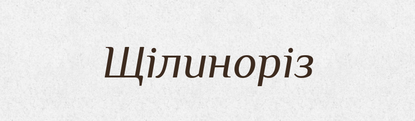 Щілиноріз — Великий тлумачний словник сучасної української мови