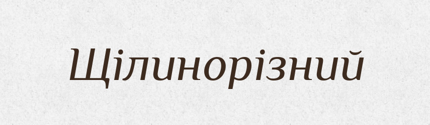 Щілинорізний — Великий тлумачний словник сучасної української мови