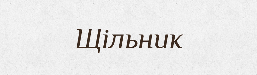 Щільник — Великий тлумачний словник сучасної української мови