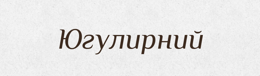 Югулирний — Великий тлумачний словник сучасної української мови