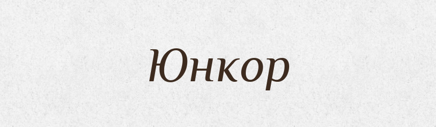 Юнкор — Великий тлумачний словник сучасної української мови