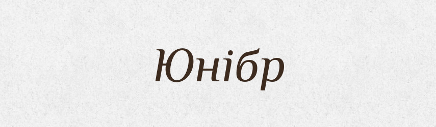 Юнібр — Великий тлумачний словник сучасної української мови