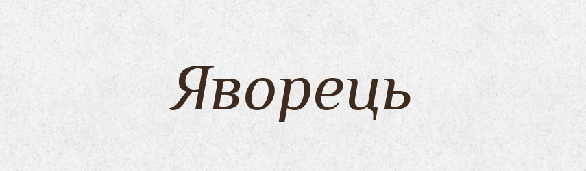 Яворець — Великий тлумачний словник сучасної української мови