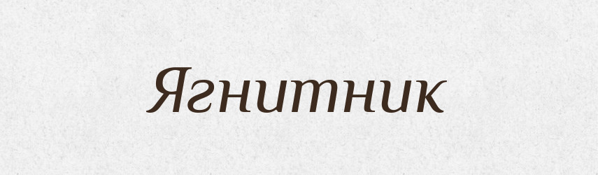 Ягнитник — Великий тлумачний словник сучасної української мови