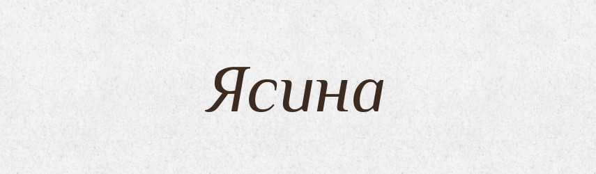 Ясина — Великий тлумачний словник сучасної української мови