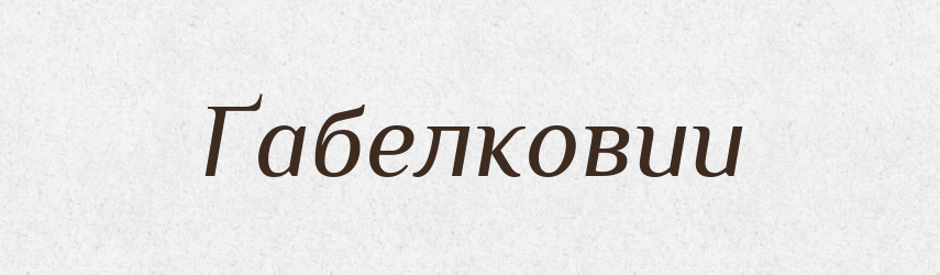 Ґабелковии — Великий тлумачний словник сучасної української мови