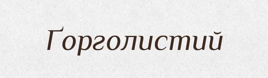 Ґорголистий — Великий тлумачний словник сучасної української мови