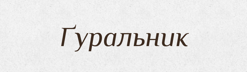 Ґуральник — Великий тлумачний словник сучасної української мови